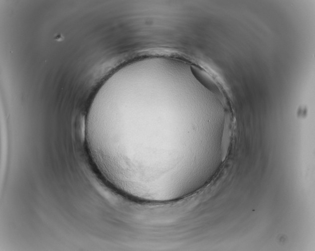 X0000091590013200709101050