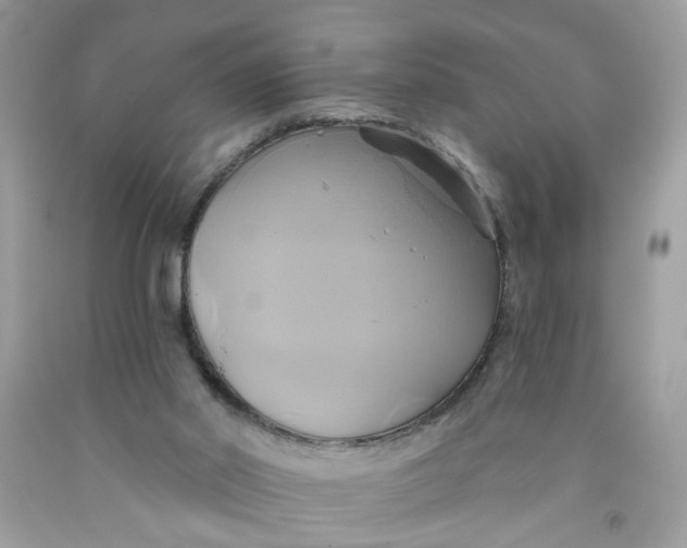 X0000091590014200709101050