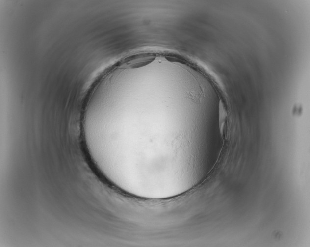 X0000091590015200709101050