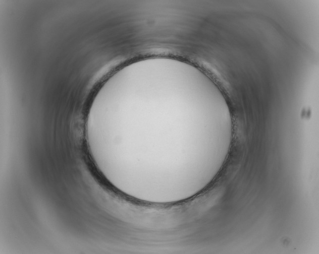 X0000091590016200709101050