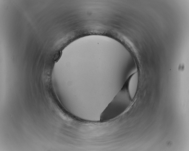 X0000091590017200709101050