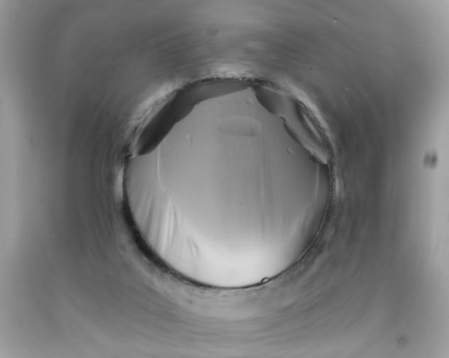 X0000091590019200709101050