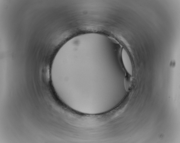 X0000091590020200709101050