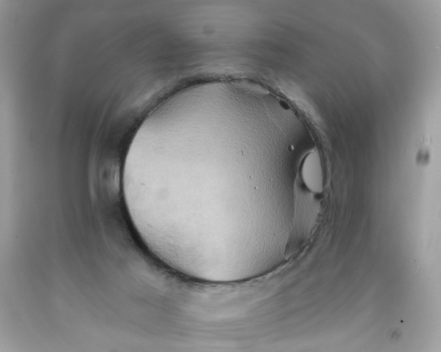 X0000091590021200709101050