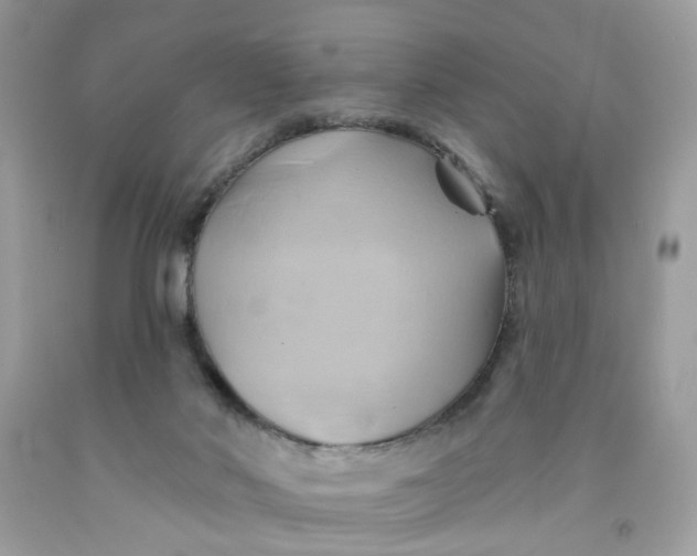 X0000091590022200709101050