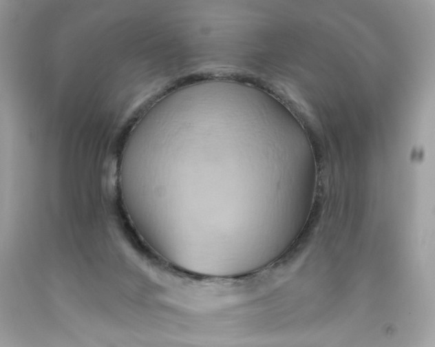 X0000091590024200709101050