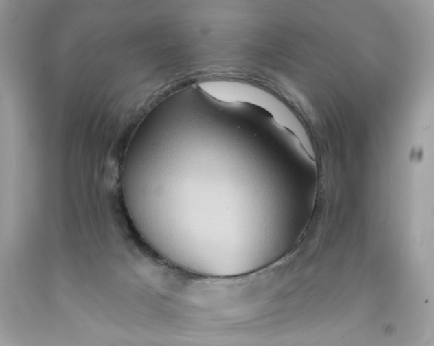 X0000091590025200709101050