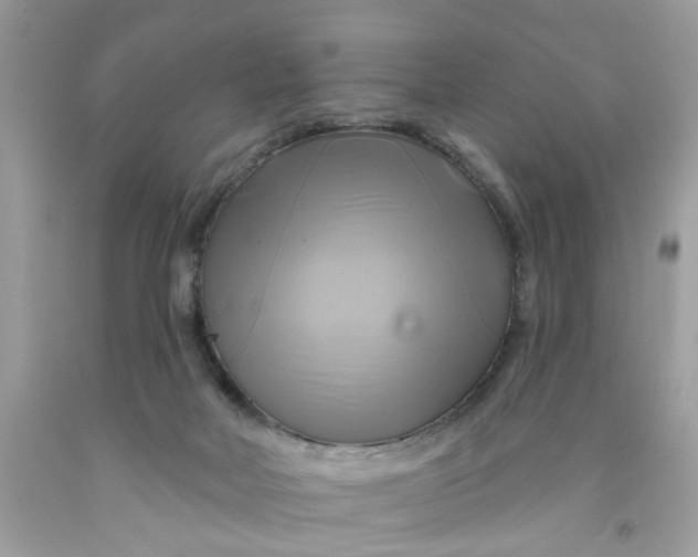 X0000091590026200709101050