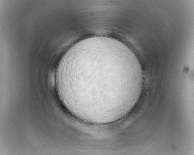 X0000091590028200709101050