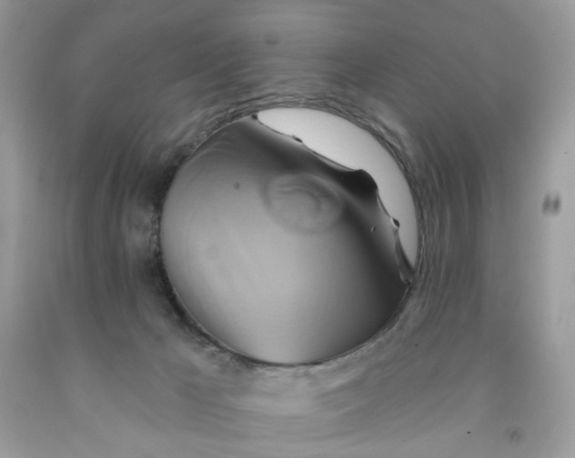 X0000091590029200709101050