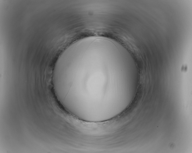 X0000091590030200709101050