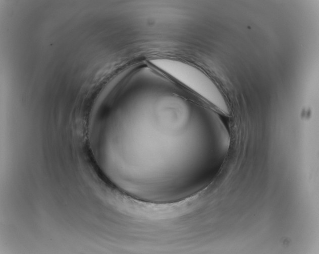 X0000091590031200709101050