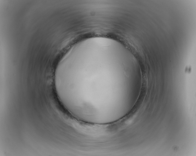 X0000091590032200709101050