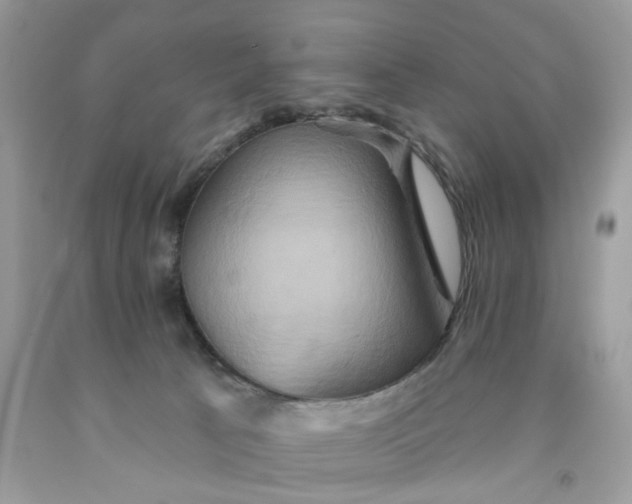 X0000091590033200709101050