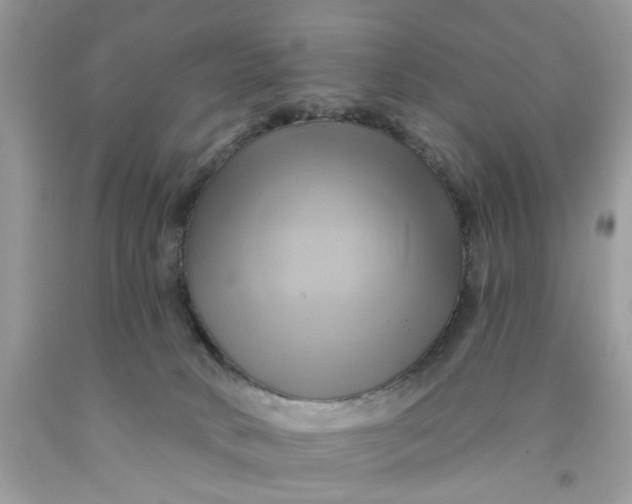 X0000091590034200709101050