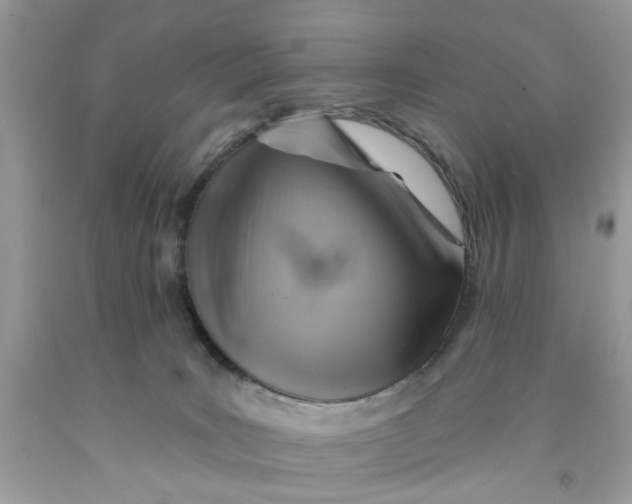 X0000091590035200709101050