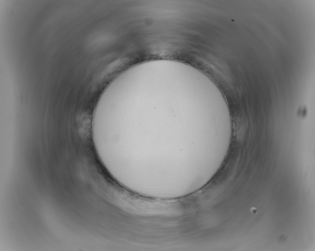 X0000091590036200709101050