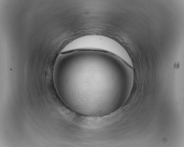 X0000091590037200709101050