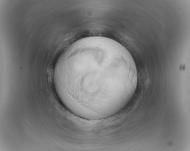 X0000091590038200709101050