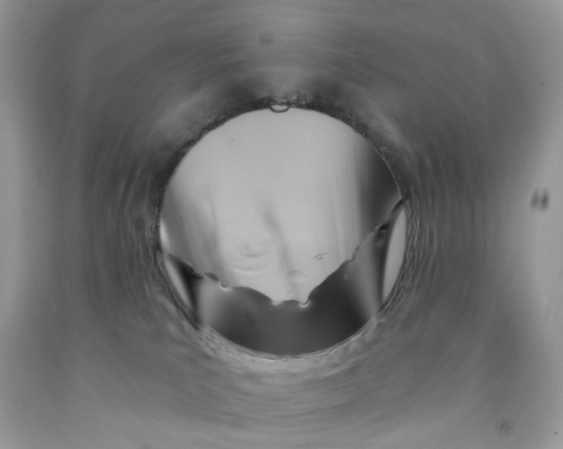 X0000091590039200709101050