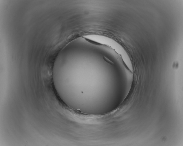 X0000091590040200709101050