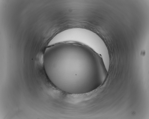 X0000091590041200709101050