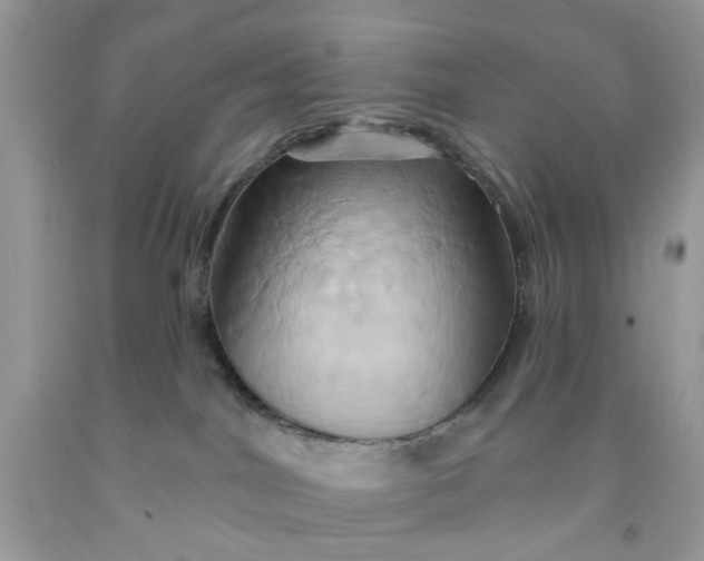 X0000091590044200709101050