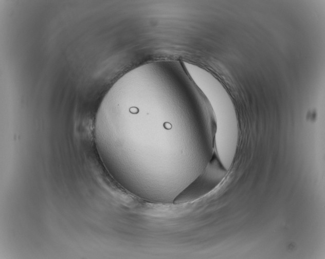 X0000091590045200709101050