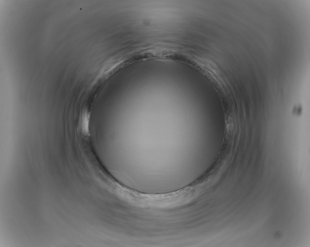 X0000091590046200709101049