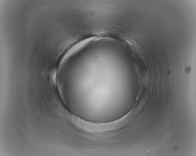 X0000091590047200709101049