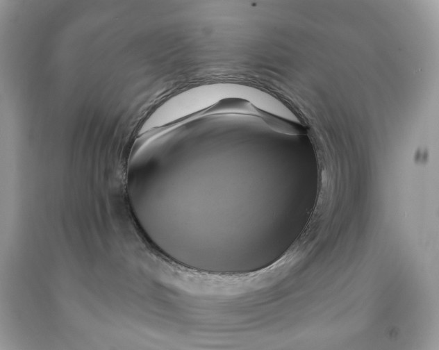 X0000091590048200709101049