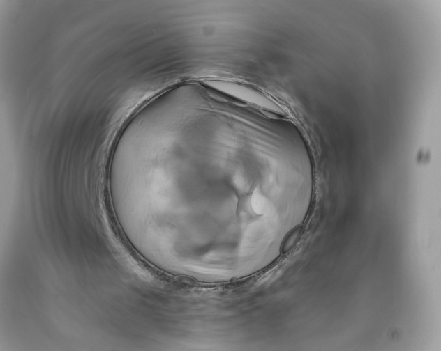 X0000091590049200709101049