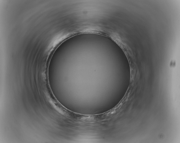 X0000091590050200709101049