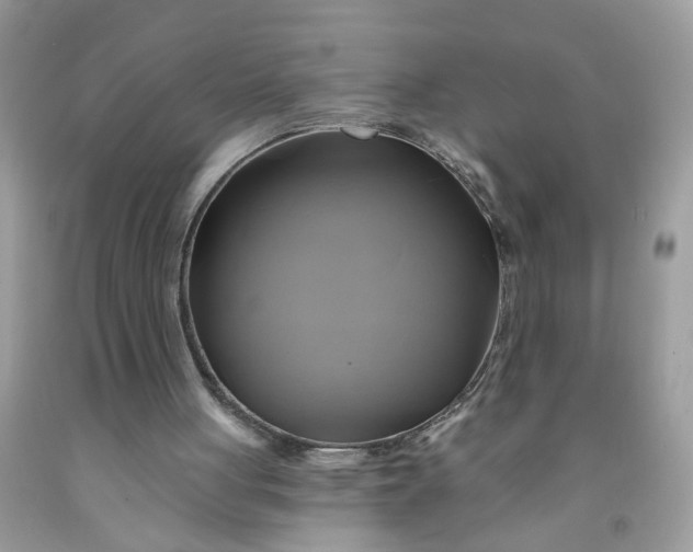 X0000091590051200709101049