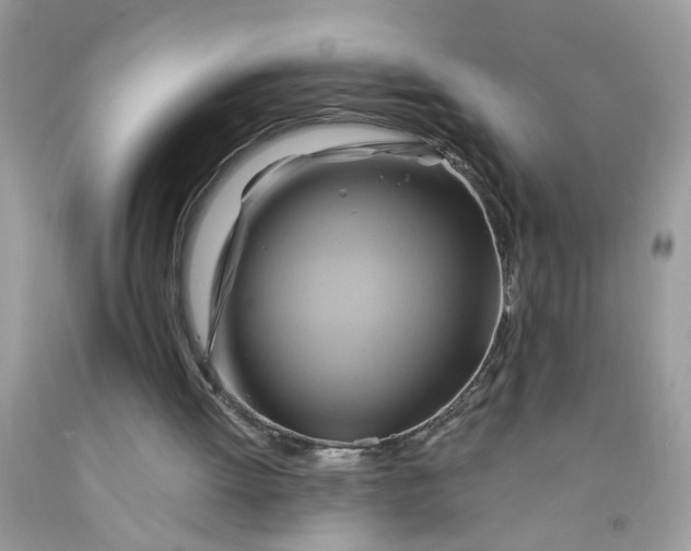 X0000091590052200709101049