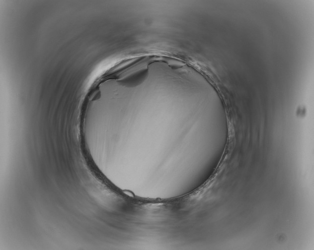 X0000091590054200709101049