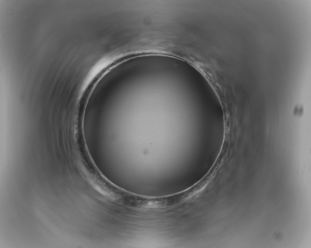 X0000091590056200709101049