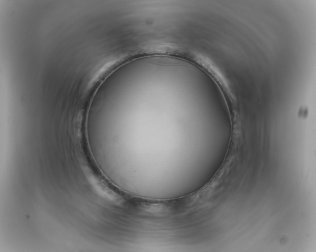 X0000091590058200709101049