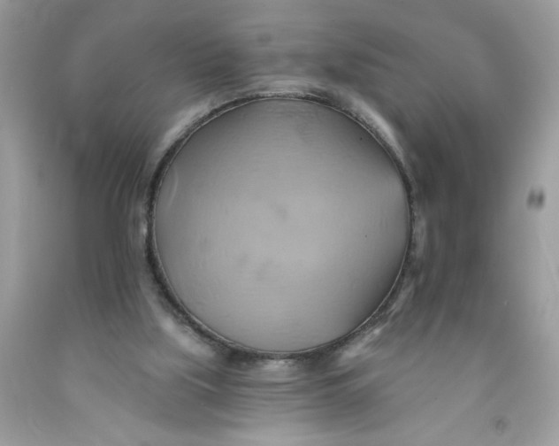 X0000091590059200709101049