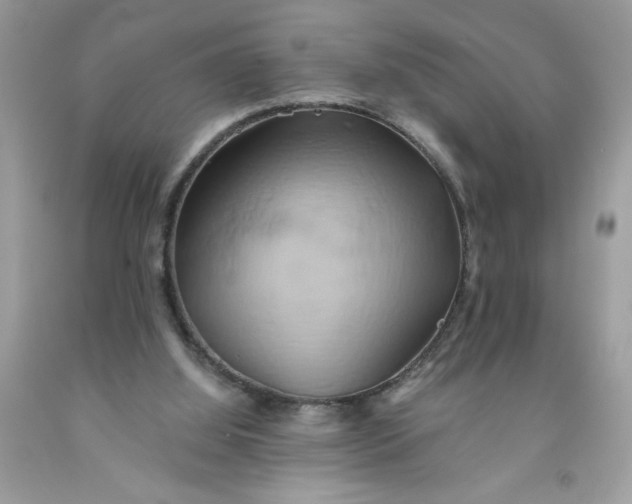 X0000091590060200709101049