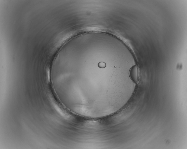 X0000091590061200709101049