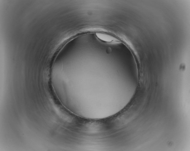 X0000091590063200709101049