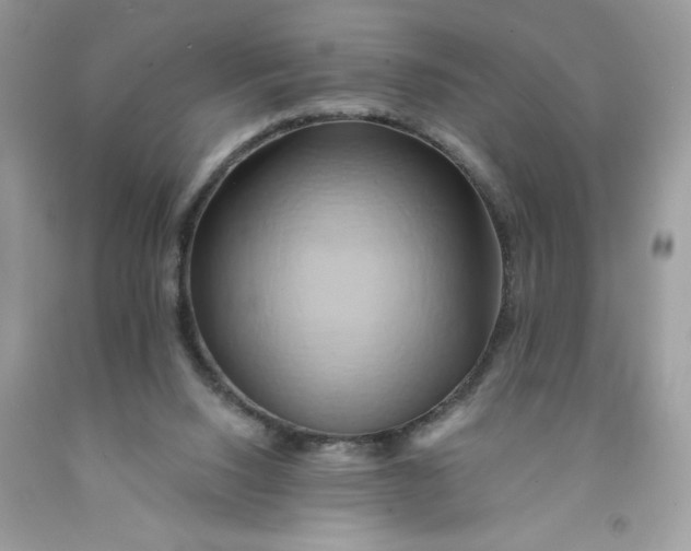 X0000091590064200709101049