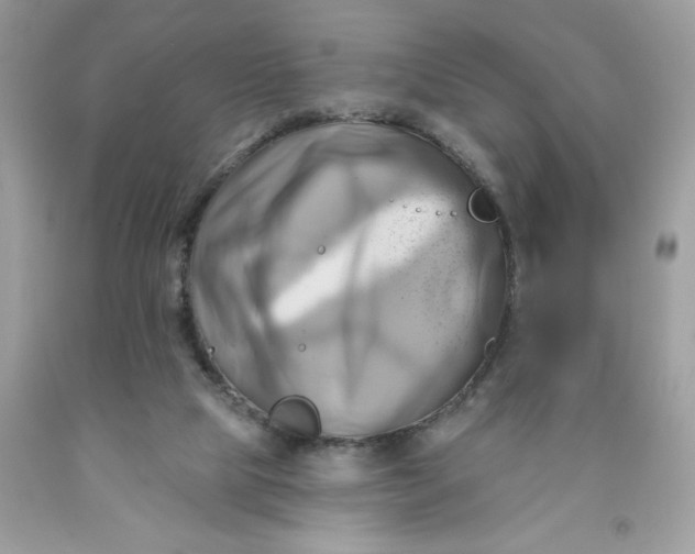 X0000091590065200709101049