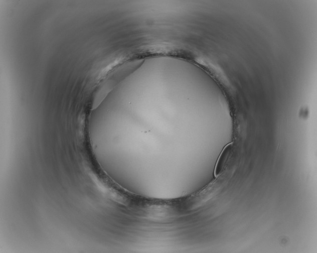 X0000091590066200709101049