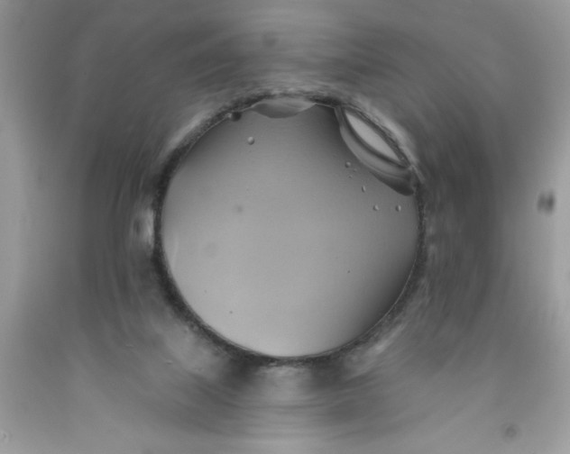 X0000091590067200709101049