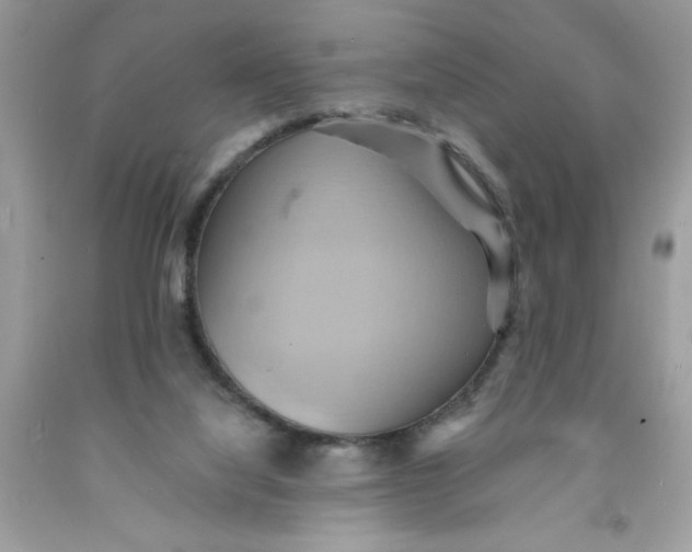 X0000091590068200709101049