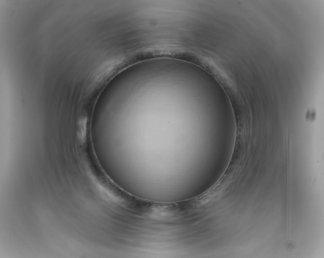 X0000091590070200709101049