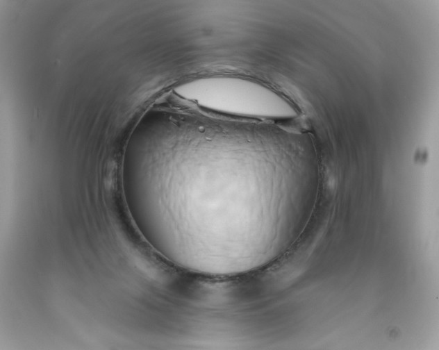 X0000091590071200709101049