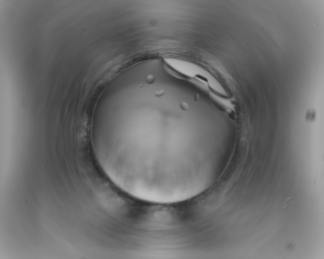 X0000091590073200709101049